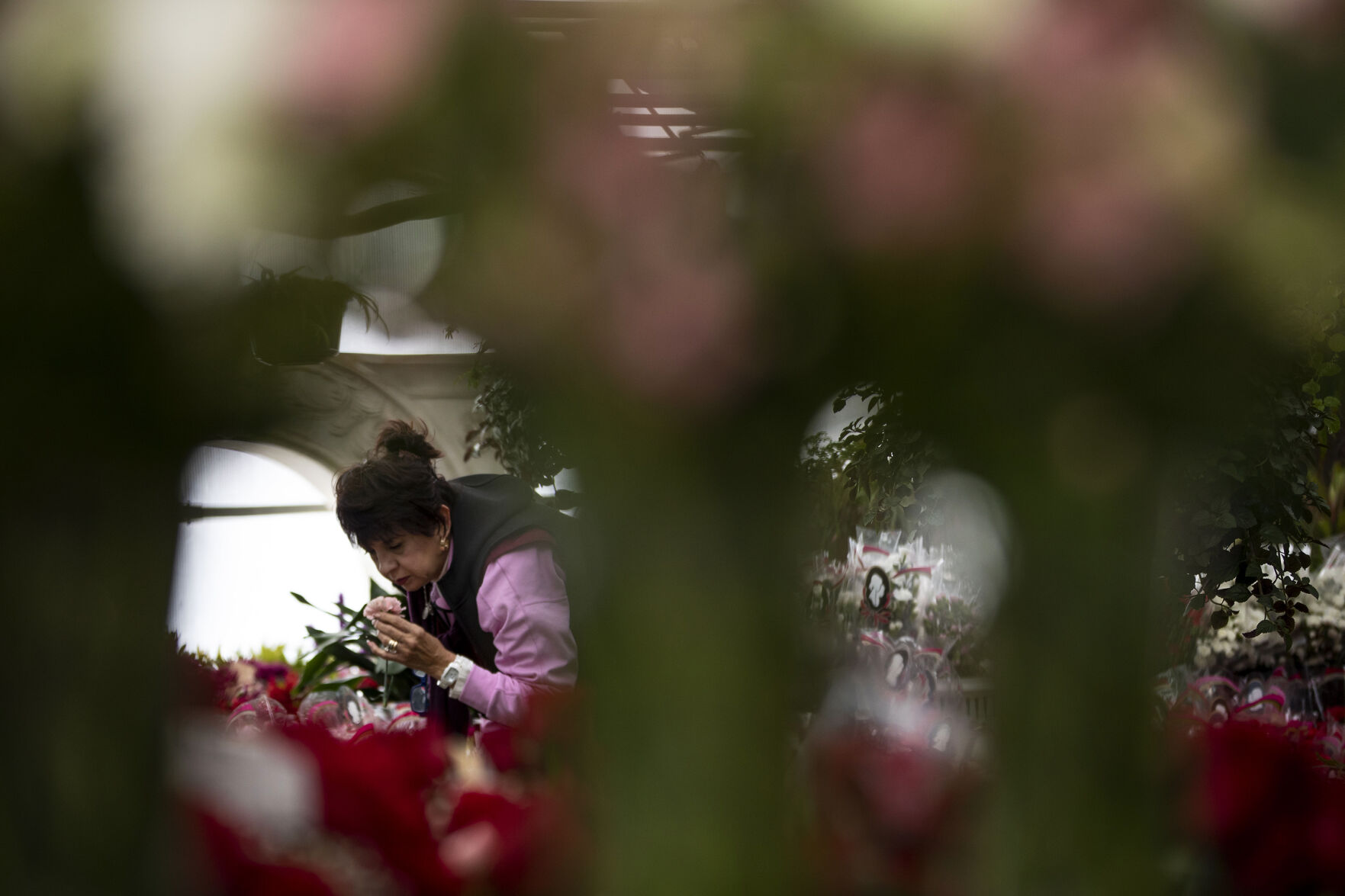 021321-news-vdayroses 12.jpg